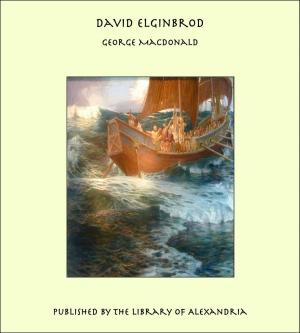 Cover of the book David Elginbrod by Blackwood Ketcham Benson