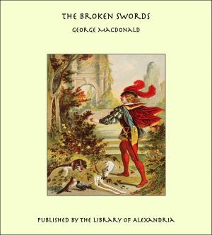 Book cover of The Broken Swords