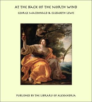Book cover of At the Back of the North Wind