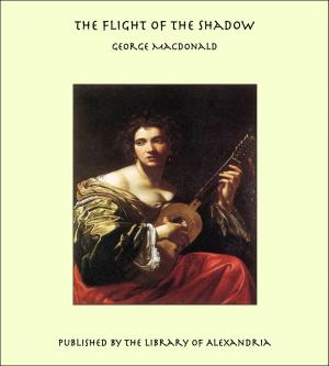 Cover of the book The Flight of the Shadow by Juan Ruiz de Alarcón