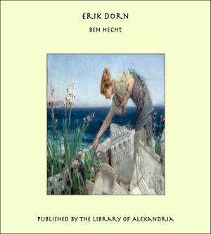 Book cover of Erik Dorn