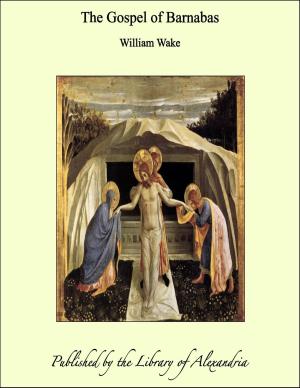 Cover of the book The Gospel of Barnabas by Joseph Alexander Altsheler