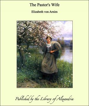Cover of the book The Pastor's Wife by S. Emma E. Edmonds