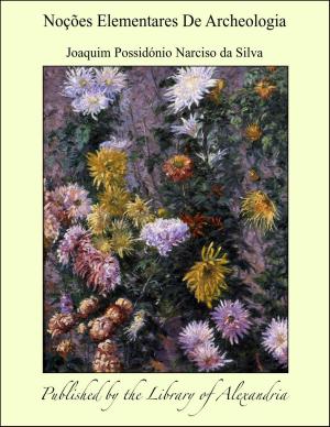 Cover of the book Noções Elementares De Archeologia by B. F. de Costa