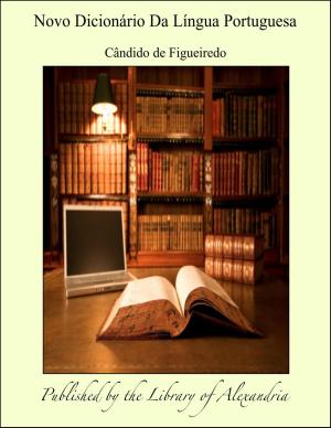 Cover of the book Novo Dicionário Da Língua Portuguesa by Louis Jacoilliot