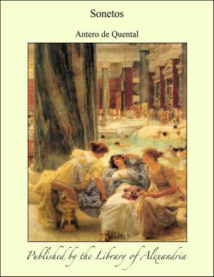 Cover of the book Sonetos by Theodor Fontane