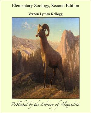 Book cover of Elementary Zoology, Second Edition