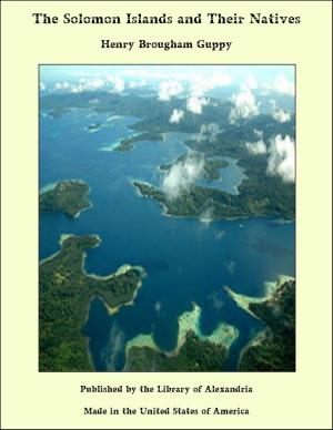 bigCover of the book The Solomon Islands and Their Natives by 