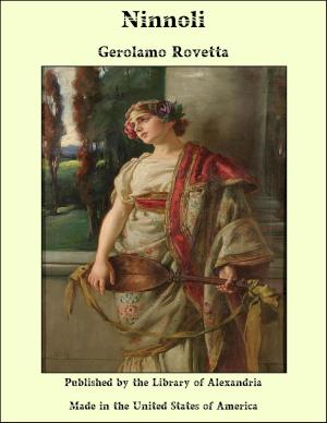 Book cover of Ninnoli