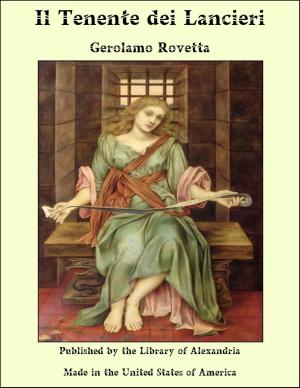 Book cover of Il Tenente dei Lancieri