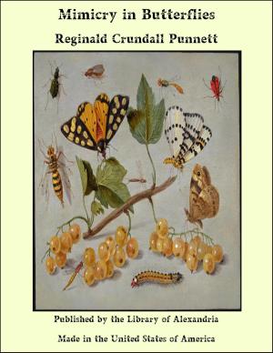 Cover of the book Mimicry in Butterflies by John Michael Greer
