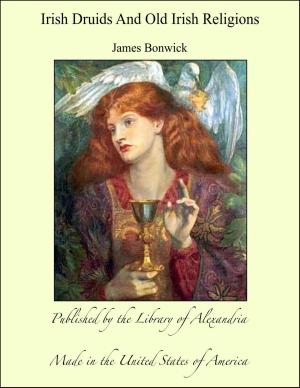 Cover of the book Irish Druids And Old Irish Religions by Honore de Balzac