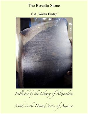 Book cover of The Rosetta Stone