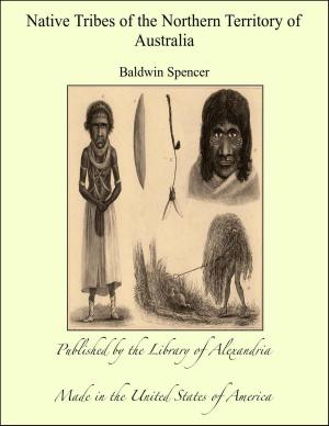 Cover of the book Native Tribes of the Northern Territory of Australia by Pedro Antonio de Alarcón