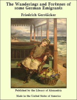 Cover of the book The Wanderings and Fortunes of some German Emigrants by Anonymous