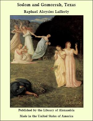 Cover of the book Sodom and Gomorrah, Texas by Olympe de Gouges