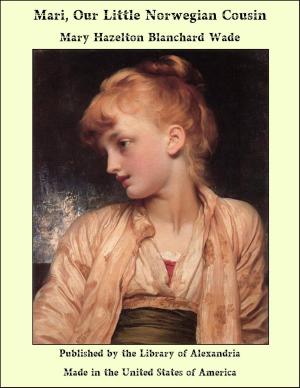 Cover of the book Mari, Our Little Norwegian Cousin by Edward Frederic Benson