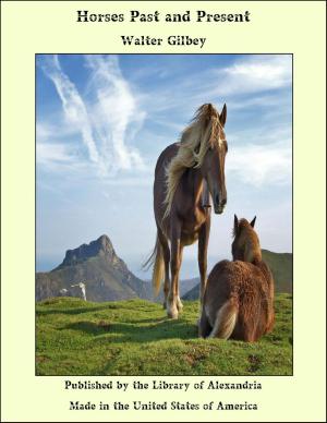Cover of the book Horses Past and Present by Mooji