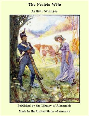 Book cover of The Prairie Wife