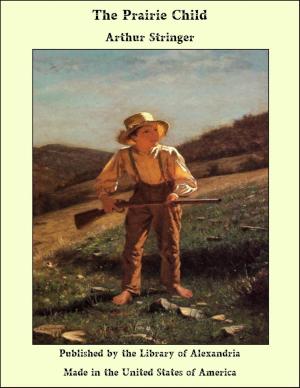Book cover of The Prairie Child