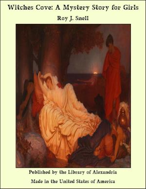 Cover of the book Witches Cove: A Mystery Story for Girls by Frank F. Ellinwood