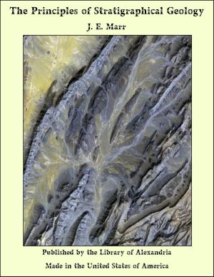 Cover of the book The Principles of Stratigraphical Geology by Amy Elizabeth Zwemer and Samuel Marinus Zwemer
