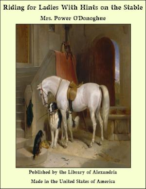 Cover of the book Riding for Ladies With Hints on the Stable by Johann Wolfgang von Goethe