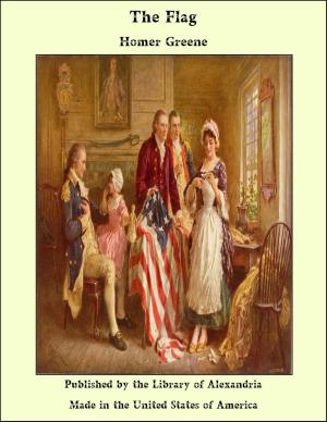 Cover of the book The Flag by James Francis Thierry