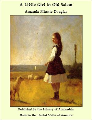 Cover of the book A Little Girl in Old Salem by T. Martin Wood