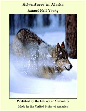 Book cover of Adventures in Alaska