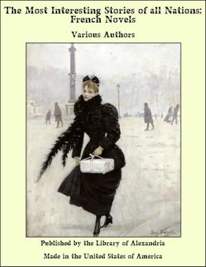 bigCover of the book The Most Interesting Stories of all Nations: French Novels by 
