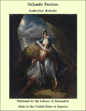 Cover of the book Orlando Furioso by Thomas Wilhelm