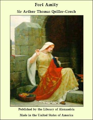 Cover of the book Fort Amity by Katharine Pyle