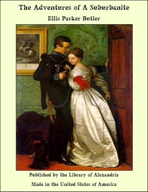 Cover of the book The Adventures of A Suburbanite by Gustave Flaubert
