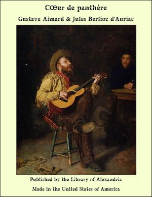 Book cover of Cœur de panthère