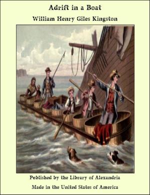 Cover of the book Adrift in a Boat by Olga Alekseevna Novikova