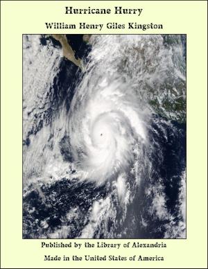 Cover of the book Hurricane Hurry by A. Lukyn Williams