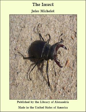 Cover of the book The Insect by Edith J. Morley