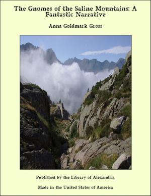 bigCover of the book The Gnomes of the Saline Mountains: A Fantastic Narrative by 