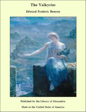 Cover of the book The Valkyries by Henry Reed Stiles