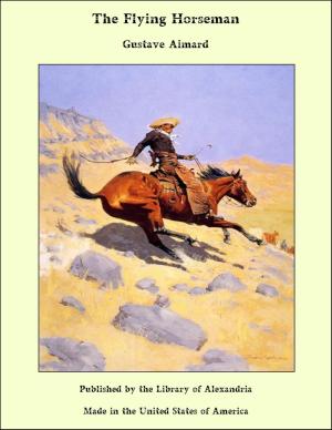 Book cover of The Flying Horseman