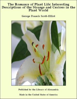Cover of the book The Romance of Plant Life: Interesting Descriptions of the Strange and Curious in the Plant World by George C. Williamson