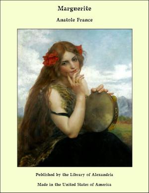 Cover of the book Marguerite by Debra Salonen