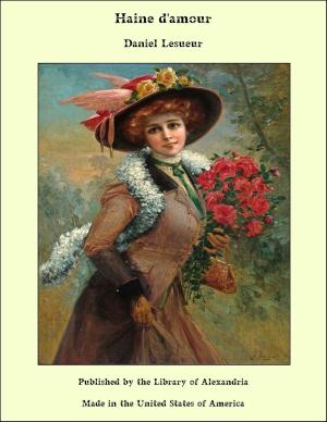 Cover of the book Haine d'amour by Nola Nance Oliver