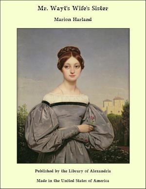 Cover of the book Mr. Wayt's Wife's Sister by John Townsend Trowbridge
