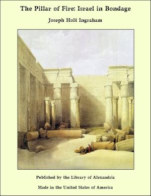 Book cover of The Pillar of Fire: Israel in Bondage