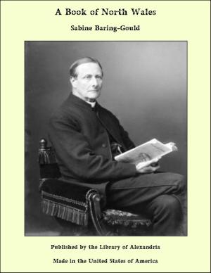 Cover of the book A Book of North Wales by Bertrand Edward Dawson Dawson