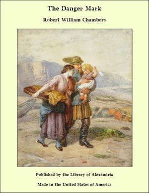Cover of the book The Danger Mark by Ethel Turner