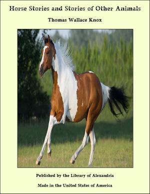 bigCover of the book Horse Stories and Stories of Other Animals: Experience of Two Boys in Managing Horses with Many Anecdotes of Quadrupedal Intelligence by 