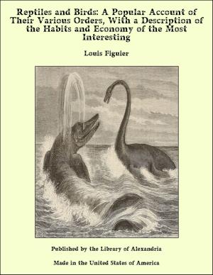 Cover of the book Reptiles and Birds: A Popular Account of Their Various Orders, With a Description of the Habits and Economy of the Most Interesting by Jim Turner